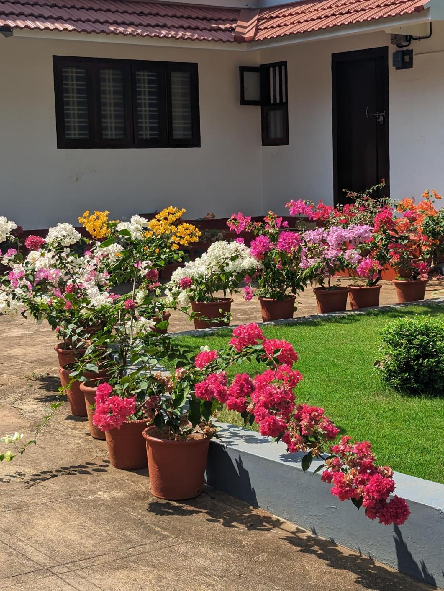 Hill Top Homes Kannur Luaran gambar