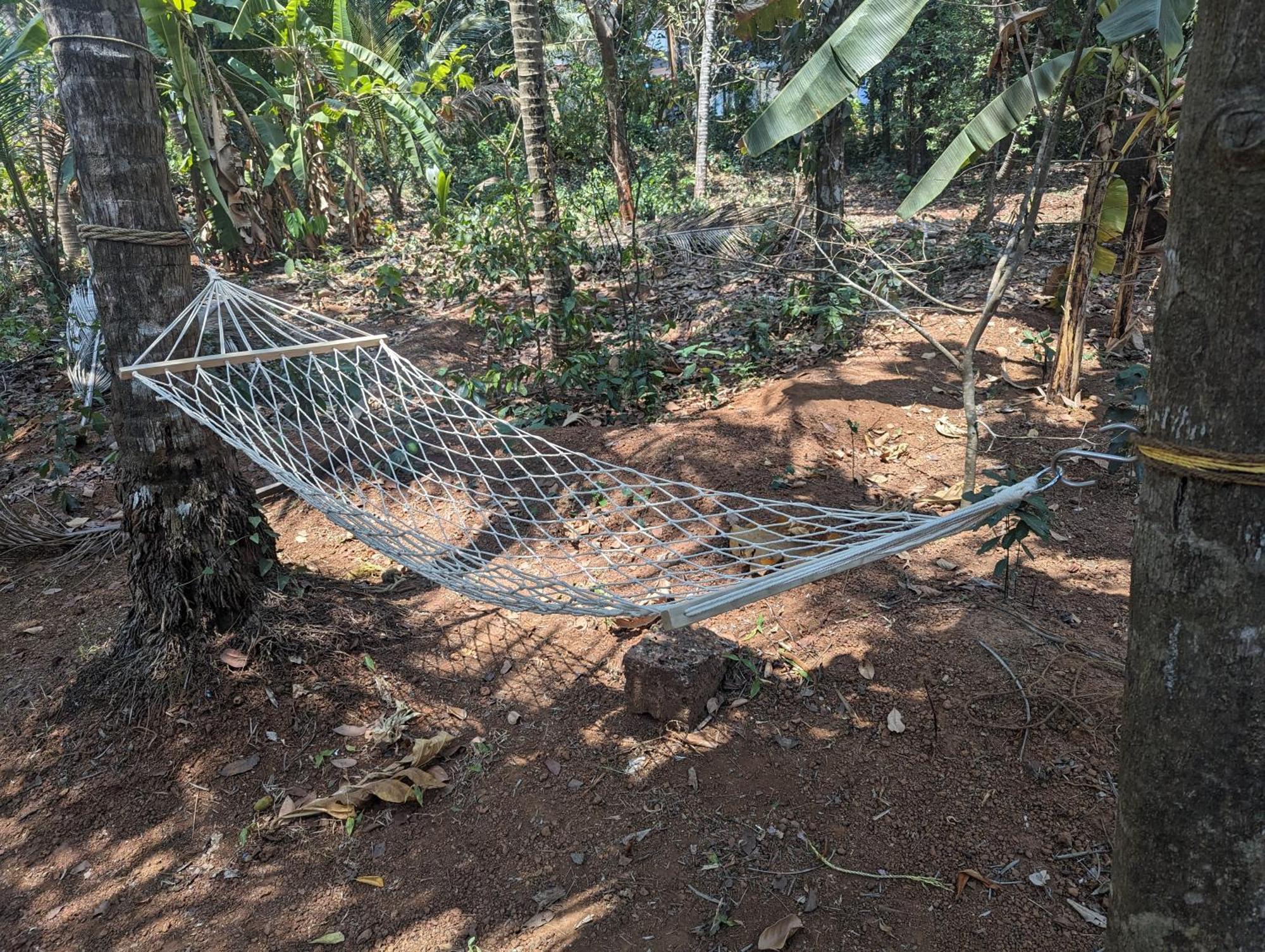 Hill Top Homes Kannur Luaran gambar